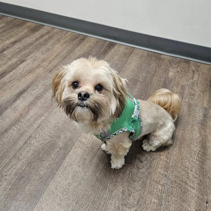 East Paulding Animal Hospital Picture 3