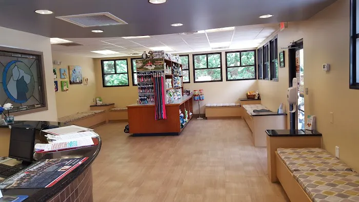 East Paulding Animal Hospital Picture 10