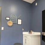 Tillis Animal Hospital