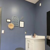 Tillis Animal Hospital ico