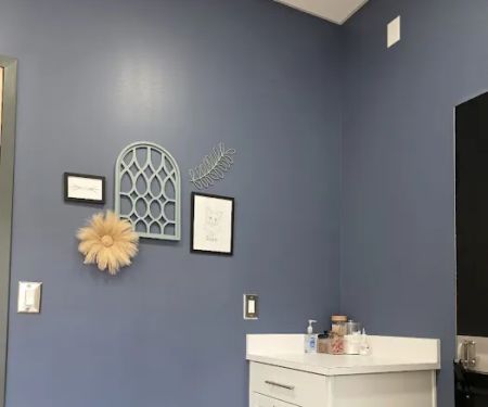 Tillis Animal Hospital