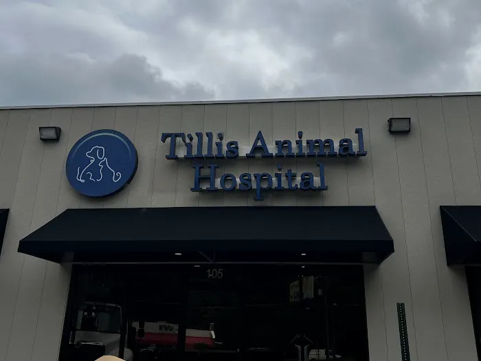 Tillis Animal Hospital Picture 4