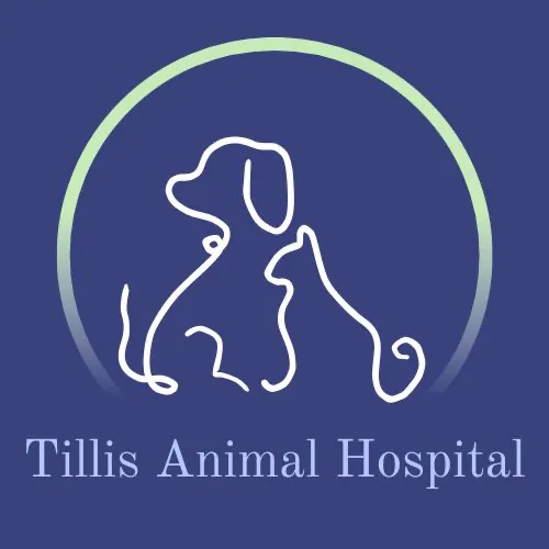 Tillis Animal Hospital Picture 5