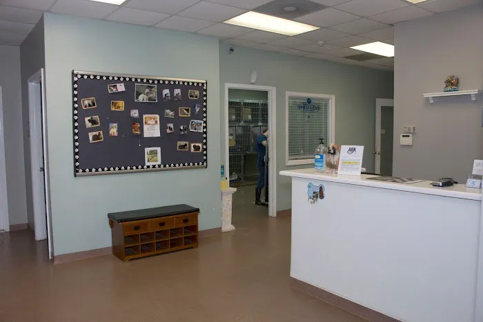 The Ark Animal Hospital Picture 2