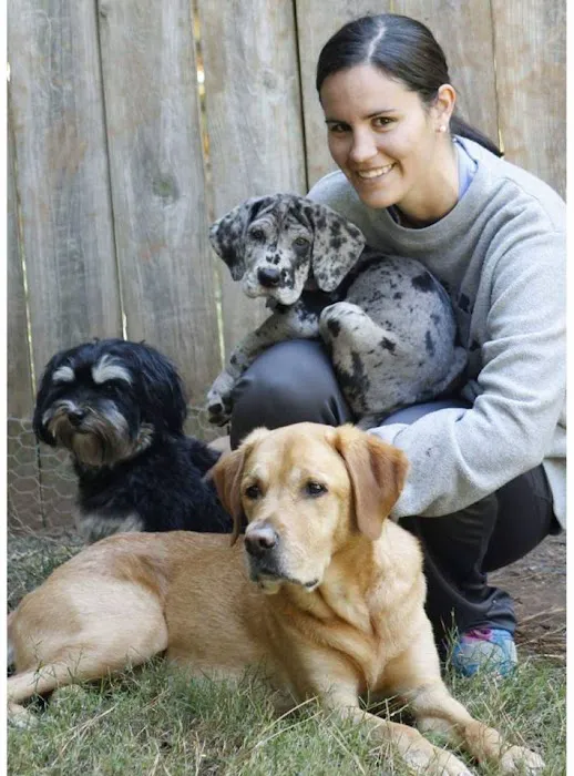The Ark Animal Hospital Picture 9