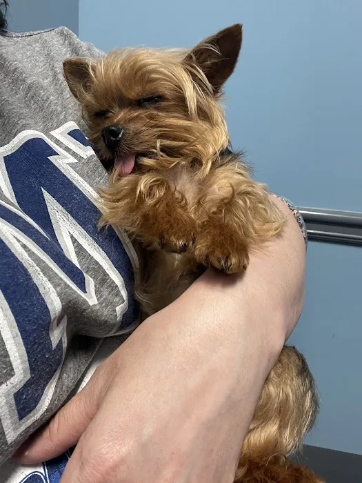 New Hope Animal Hospital Picture 4