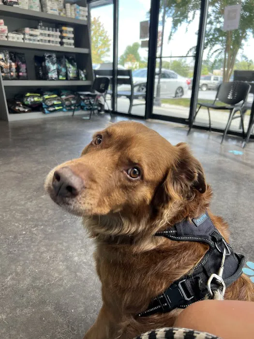 New Hope Animal Hospital Picture 5