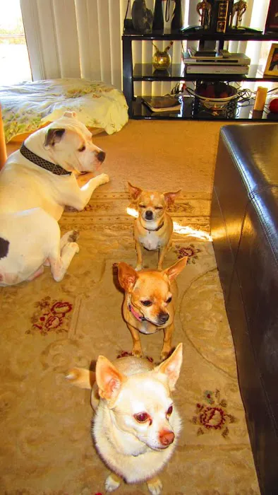 New Hope Animal Hospital Picture 6