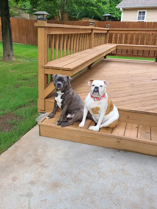 Powder Springs Animal Clinic Picture 8