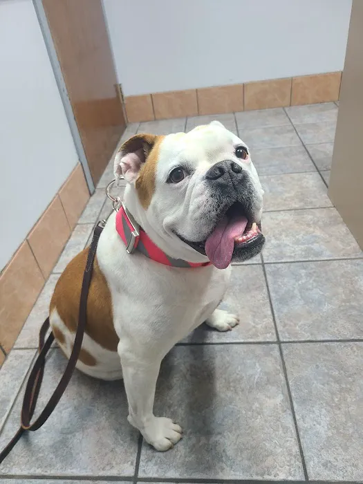 Powder Springs Animal Clinic Picture 7