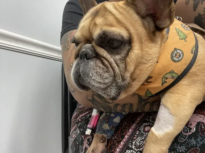Powder Springs Animal Clinic Picture 10