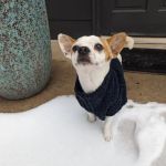 West Marietta Veterinary Clinic