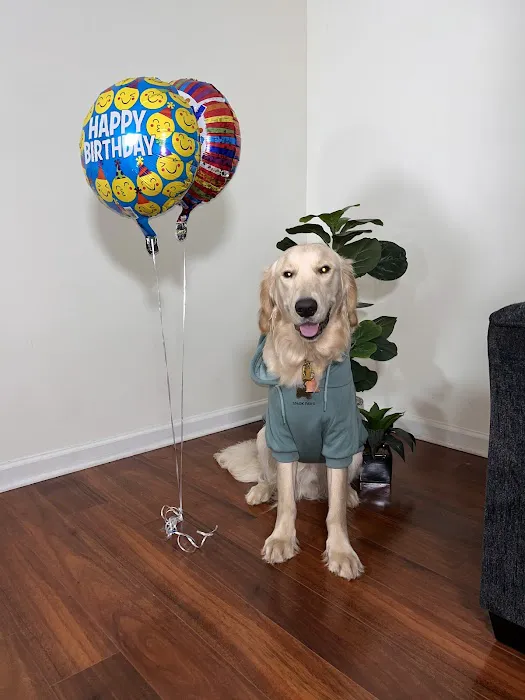 West Cobb Veterinary Clinic Picture 2