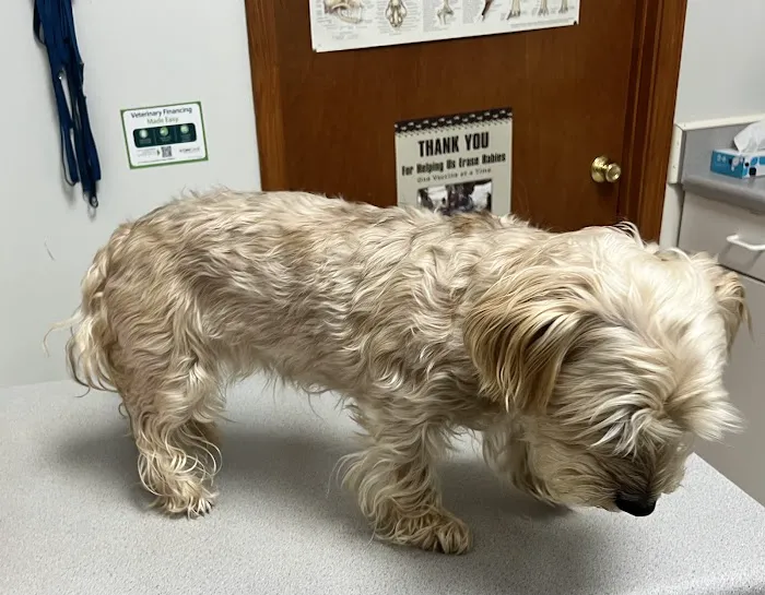 West Cobb Veterinary Clinic Picture 1