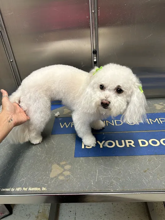 West Cobb Veterinary Clinic Picture 7