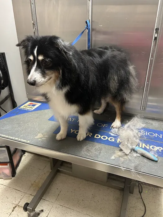 West Cobb Veterinary Clinic Picture 9