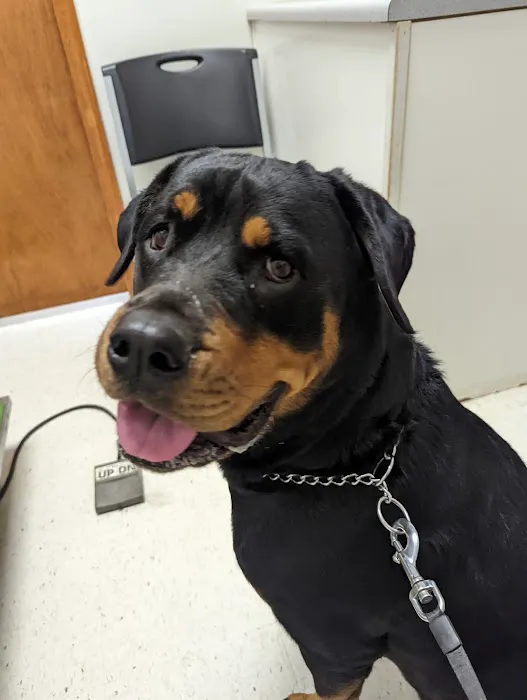 West Cobb Veterinary Clinic Picture 5