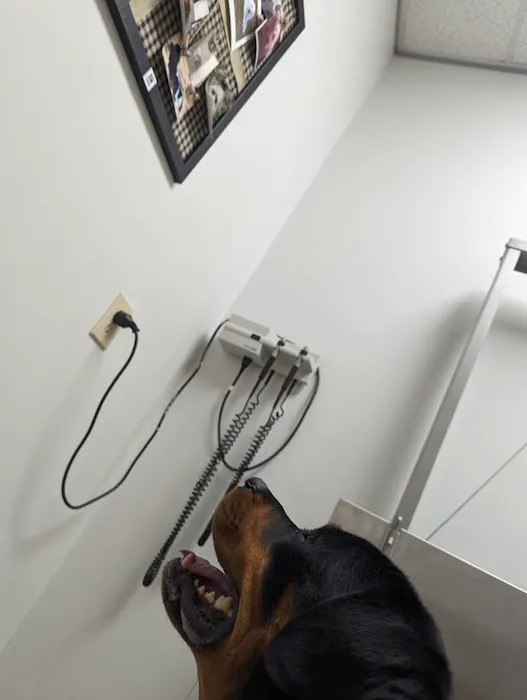 West Cobb Veterinary Clinic Picture 2