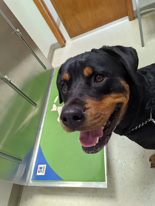 West Cobb Veterinary Clinic Picture 4