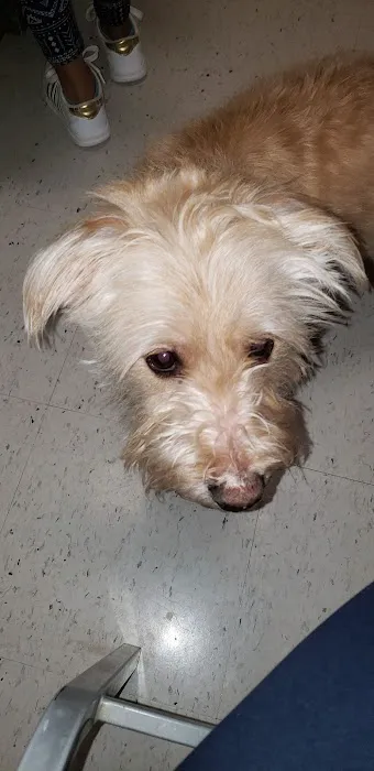 West Cobb Veterinary Clinic Picture 7