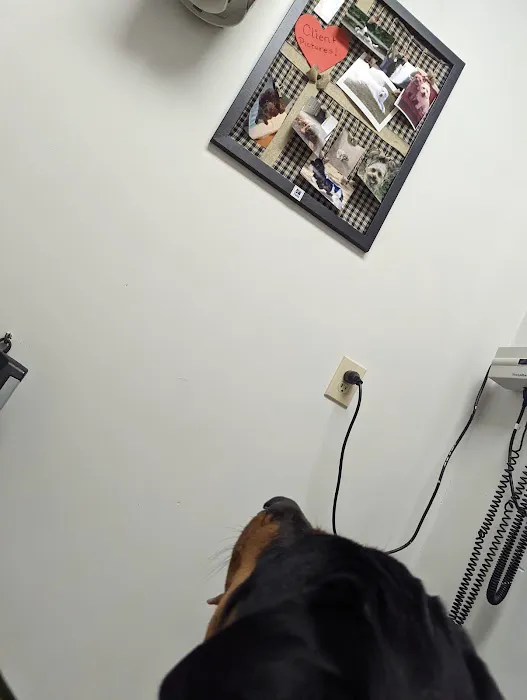 West Cobb Veterinary Clinic Picture 10