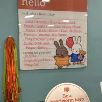 Banfield Pet Hospital ico