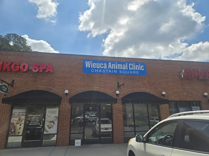 Wieuca Animal Clinic at Chastain Square Picture 2