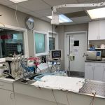 Veterinary Center of Buckhead