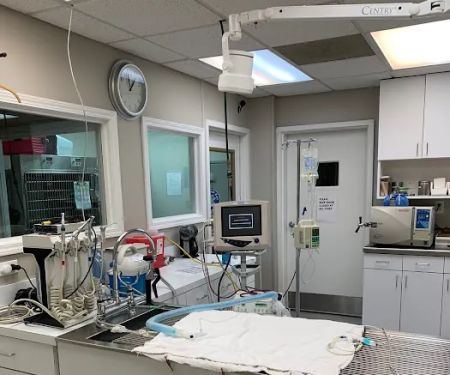 Veterinary Center of Buckhead