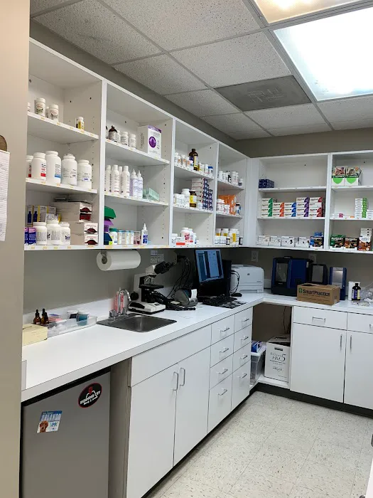 Veterinary Center of Buckhead Picture 3