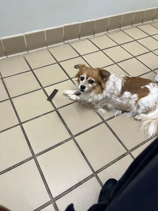 Pharr Road Animal Hospital Picture 7