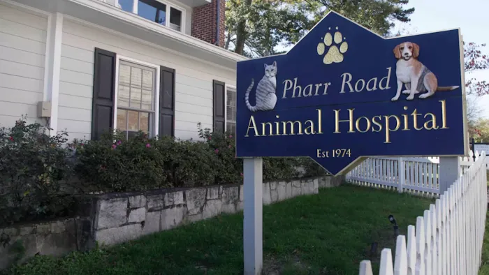 Pharr Road Animal Hospital Picture 8