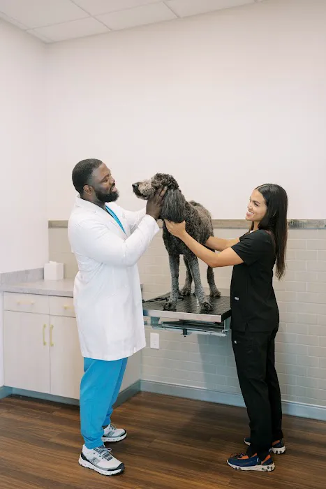 GoodVets Toco Hills Picture 7