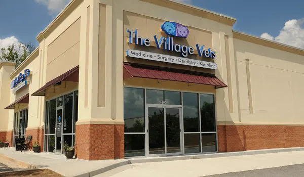 The Village Vets Stone Mountain Picture 10