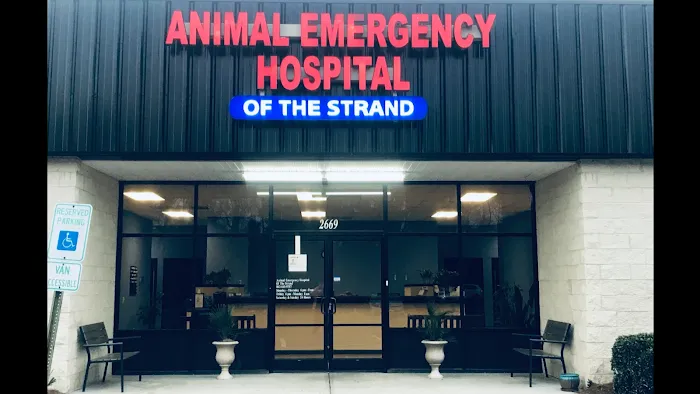Animal Emergency Hospital of the Strand Picture 10
