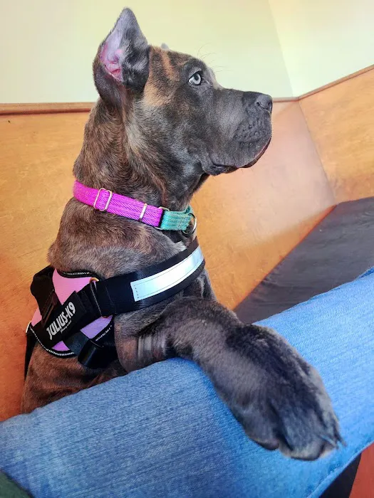 Ark Animal Hospital Picture 1