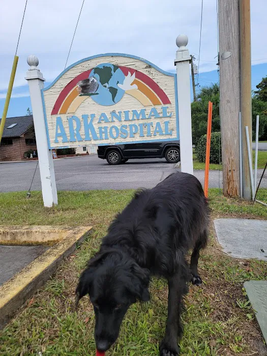 Ark Animal Hospital Picture 3