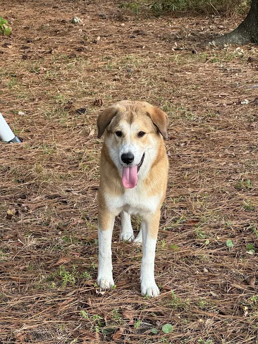 Ark Animal Hospital Picture 9