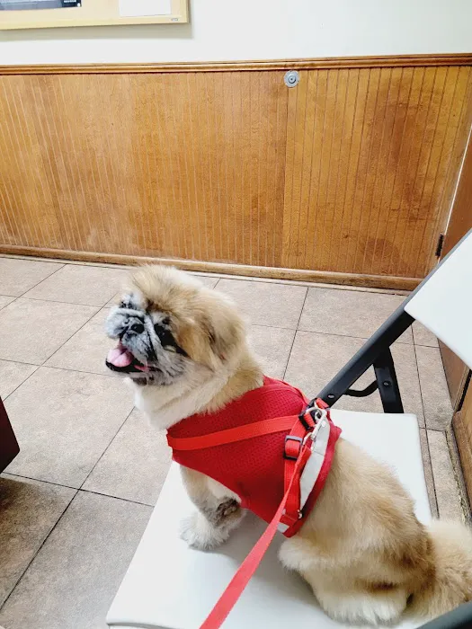 Ark Animal Hospital Picture 7