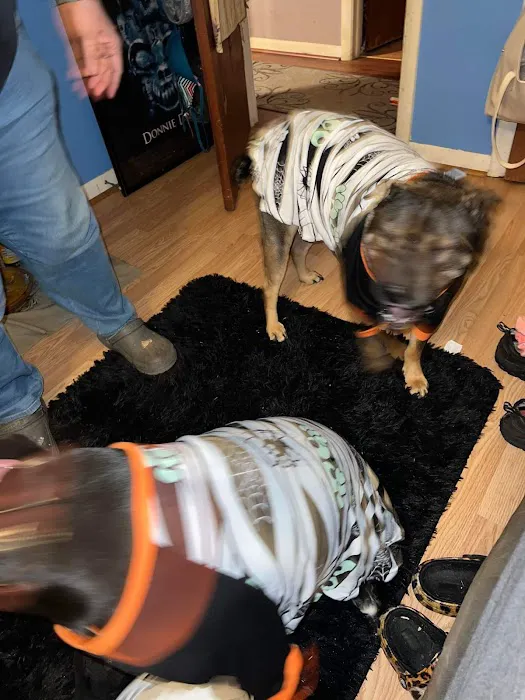 Scotland Veterinary Hospital Picture 5