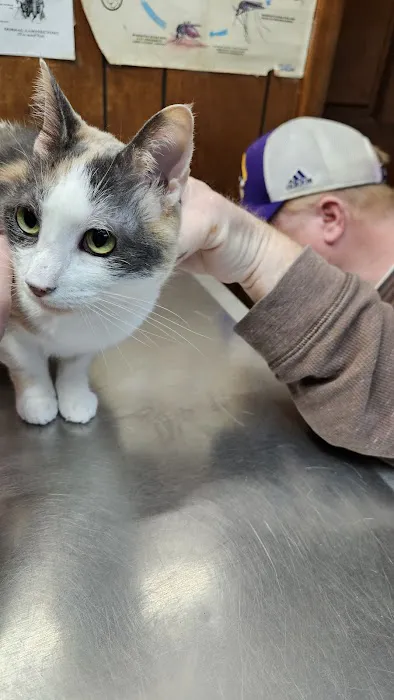 Scotland Veterinary Hospital Picture 10