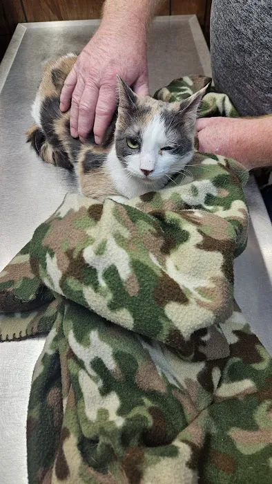 Scotland Veterinary Hospital Picture 8