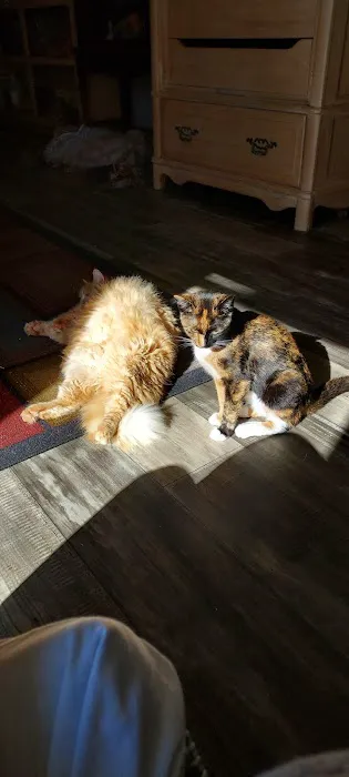 X-Way Road Animal Hospital Picture 1