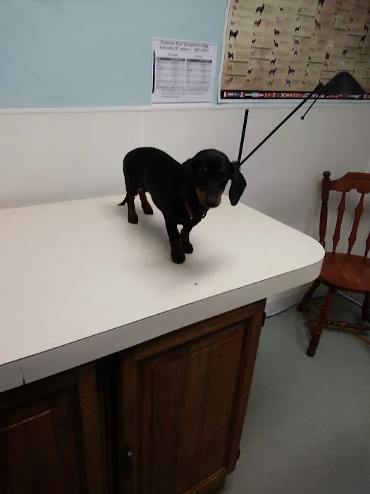 X-Way Road Animal Hospital Picture 7