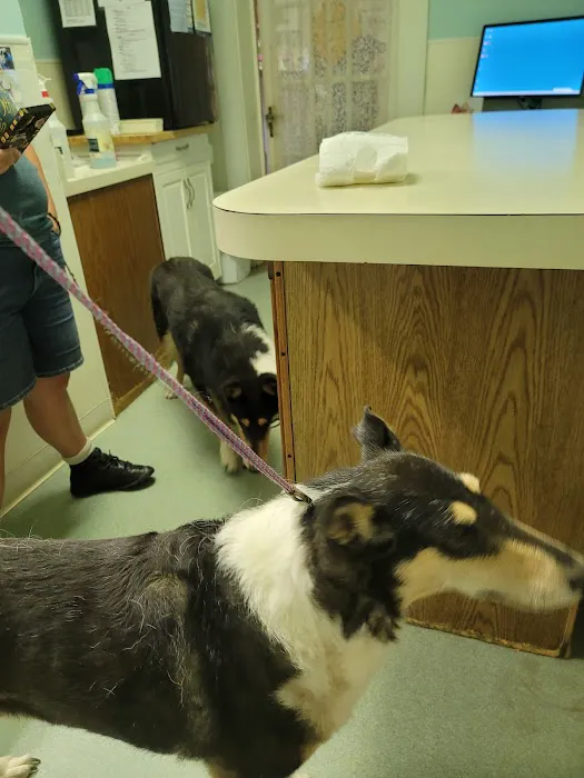 X-Way Road Animal Hospital Picture 6