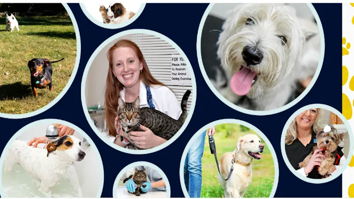 Raeford Animal Hospital Picture 10