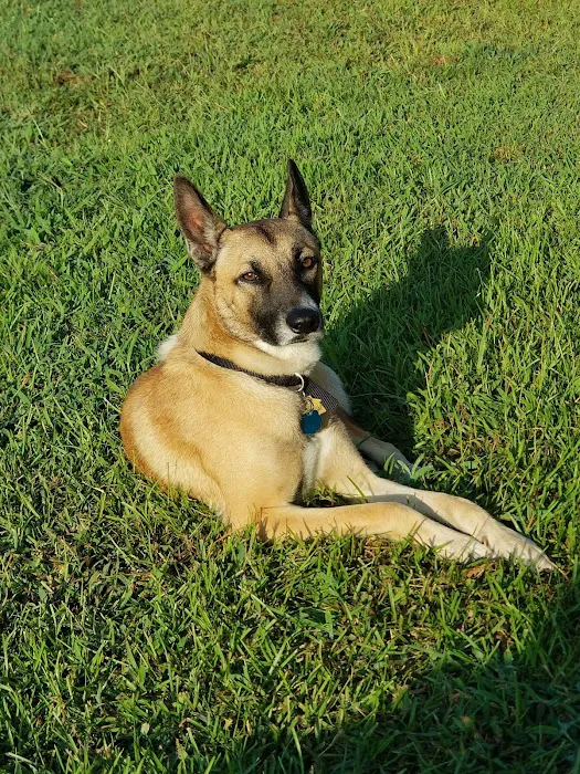 Raeford Animal Clinic PA Picture 8