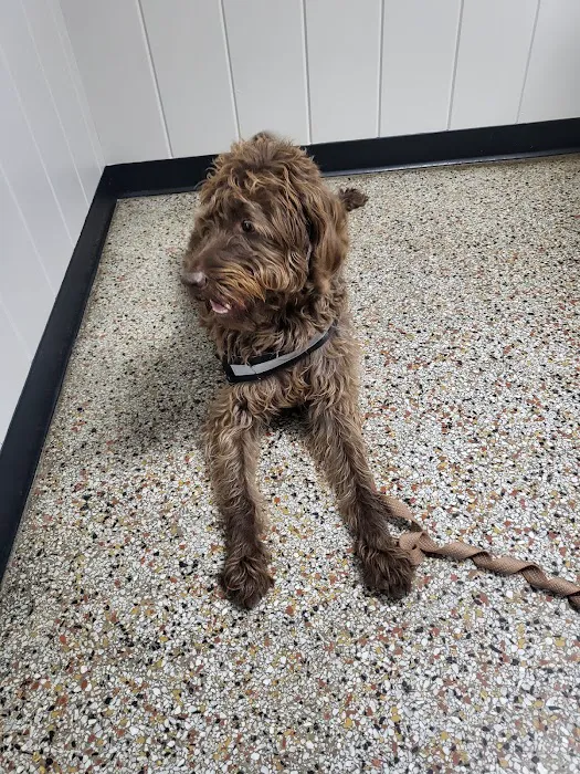 Academy Animal Hospital of Laurinburg Picture 10