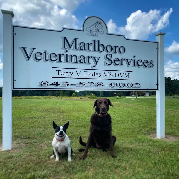 Marlboro Veterinary Services Picture 1