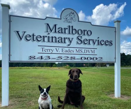 Marlboro Veterinary Services